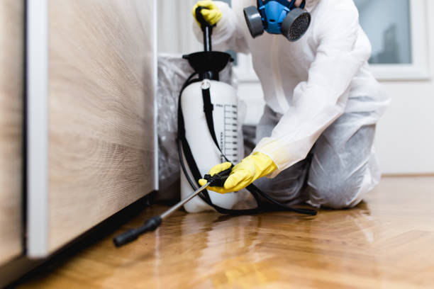Best Affordable Pest Control Services  in White Plains, NY