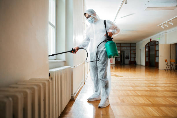 Best Flea Control Services  in White Plains, NY