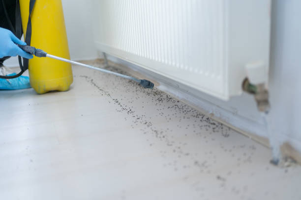 Best Termite Control Services  in White Plains, NY
