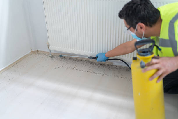 Best Local Pest Control Services  in White Plains, NY