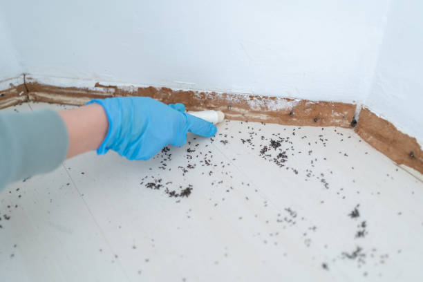 Best Commercial Pest Control Services  in White Plains, NY